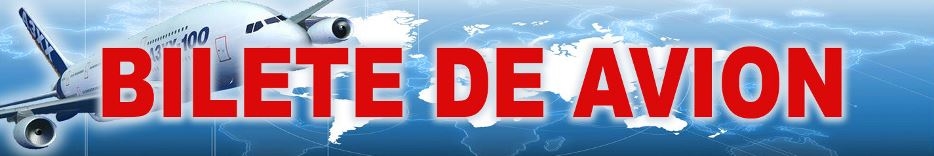 Dedal Business Travel