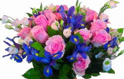 FLORA.MD