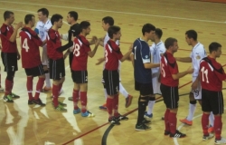 Футзал арена FMF