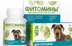 Компания «Viovant»