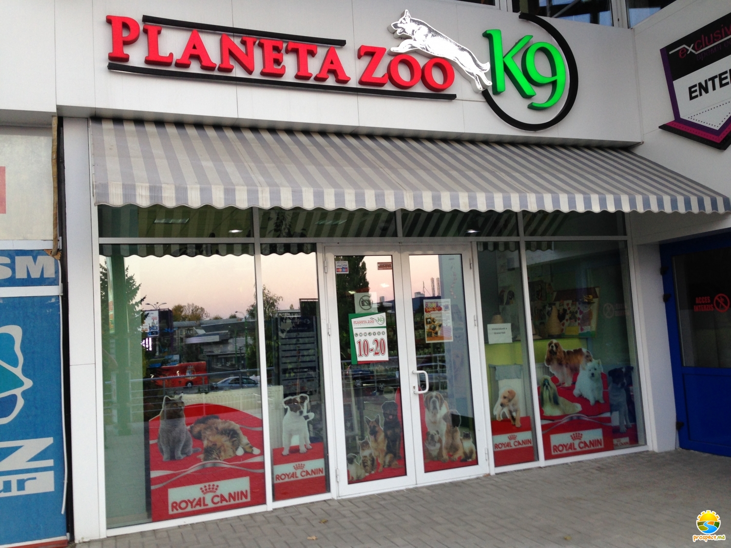 Planeta Zoo K9 (бул. К. Негруцци, 2/4)