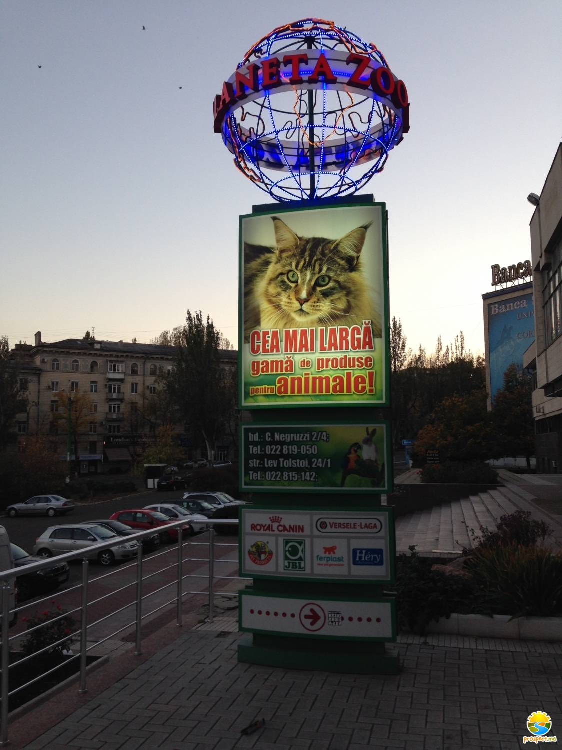 Planeta Zoo K9 (бул. К. Негруцци, 2/4)