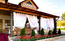 Свадебный дом “Dianița”