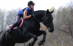 "Спарта" - конно-спортивный клуб