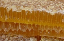 Ассоциация Пчеловодства РМ Apis Mellifera