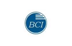 BCI - Business Consulting Institute