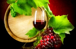 Bravicea-Vin