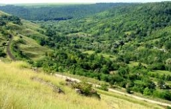 Лесохозяйственное Предприятие (г.Орхей)