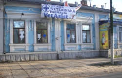 Ветеринарная клиника Vetasist