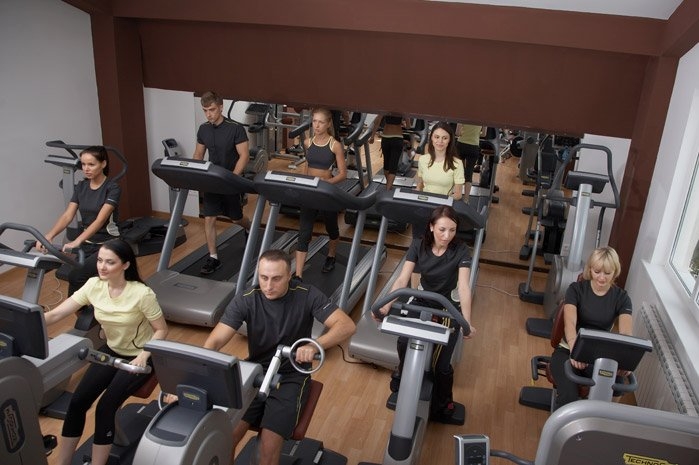 Wellness Land