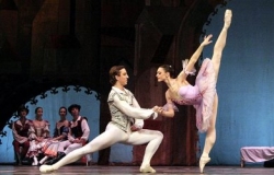Coppelia