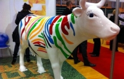 1 июня впервые в Молдове пройдет яркий и зрелищный Фестиваль коров.