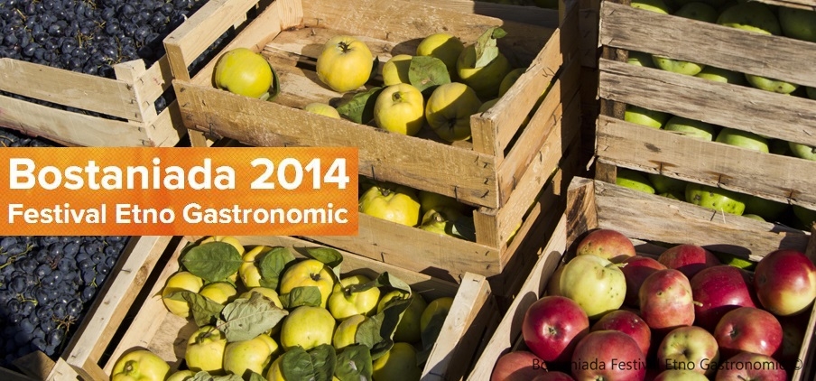 BOSTANIADA Festival Etno Gastronomic™ Editia 2014 CONCEPT