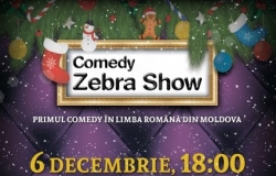 Comedy Zebra Show 2015
