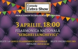 Comedy Zebra Show 2016
