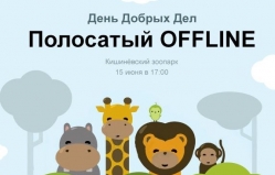 День Добрых Дел: Полосатый OFFLINE