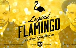 Club Flamingo Birthday