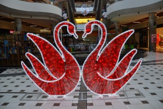 День Святого Валентина в Shopping MallDova