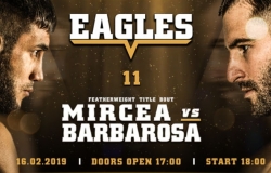 Eagles 11