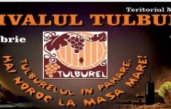 Festivalul vinurilor tinere Tulburel-2016