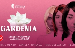 Gardenia15