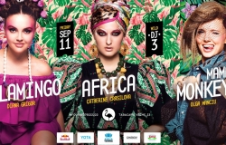 I полуфинал проекта Wild DJ 3 в клубе Flamingo