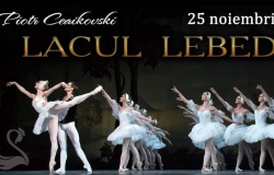 Lacul lebedelor