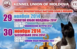 Международная Выставка Собак