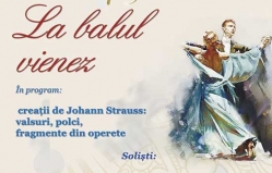 At Vienna Ball