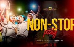 Non-stop Party
