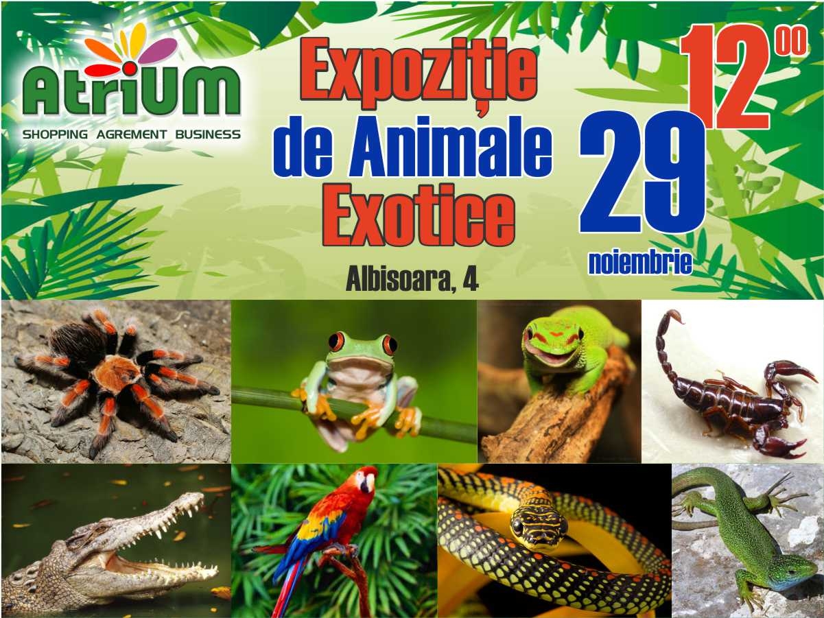 O expoziţie de animale exotice