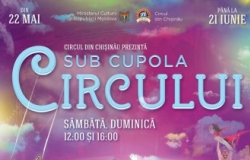 Sub cupola Circului