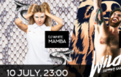 Проект Wild DJ возвращается на сцену летнего клуба Flamingo