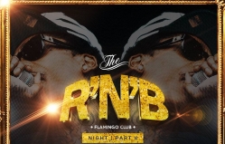RnB Flamingo Night