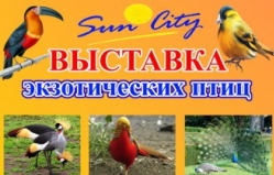 С 1 апреля в мире прекрасных экзотических птиц на Выставке 2016 в торговом центре Sun City
