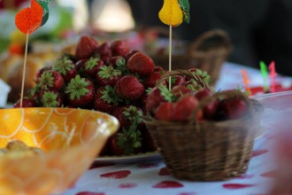 Sărbătoarea căpșunii și a mierii, ediția a II-a