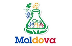 Startup Weekend Moldova 2013 V