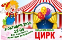 Sun City приглашает на цирковое представление