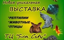 Sun City продолжает радовать своих посетителей увлекательными выставками