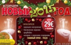 Встречаем Новый 2015 год вместе с караоке Solo