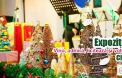 Выставка Рождественских ёлок