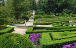 Trade fair in the Botanical Garden
