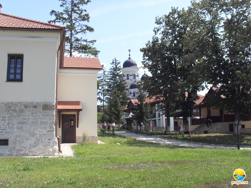 Mănăstirea Căpriana (Strășeni)