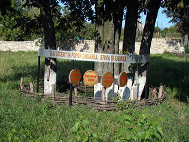 House museum of publicist Constantine Sterea