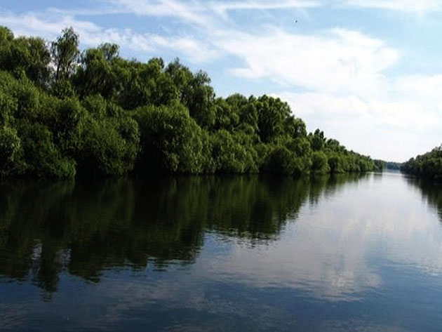 Scientific Reserve "Prutul de Jos"