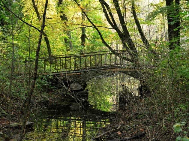 Architectural ensemble “Mindic Villa” will be restored together by Moldovan and Polish experts