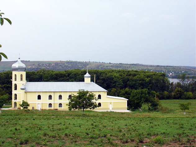 Mănăstirea Sf. Cneaz Vladimir - Horești