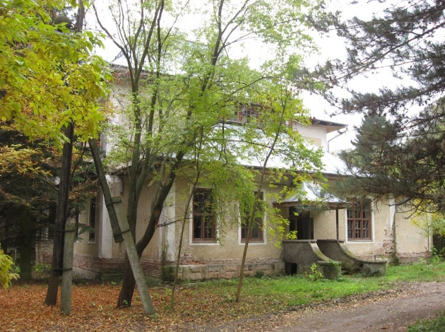 Villa and arboretum of Mindic