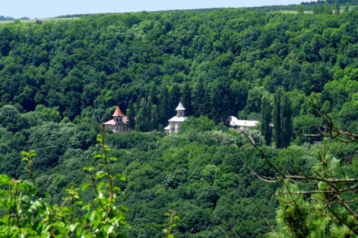 Rudi Arionesti Reserve