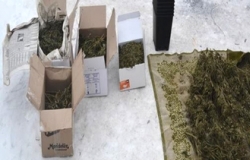 26 мешков с коноплей конфискованы в Кантемирском районе